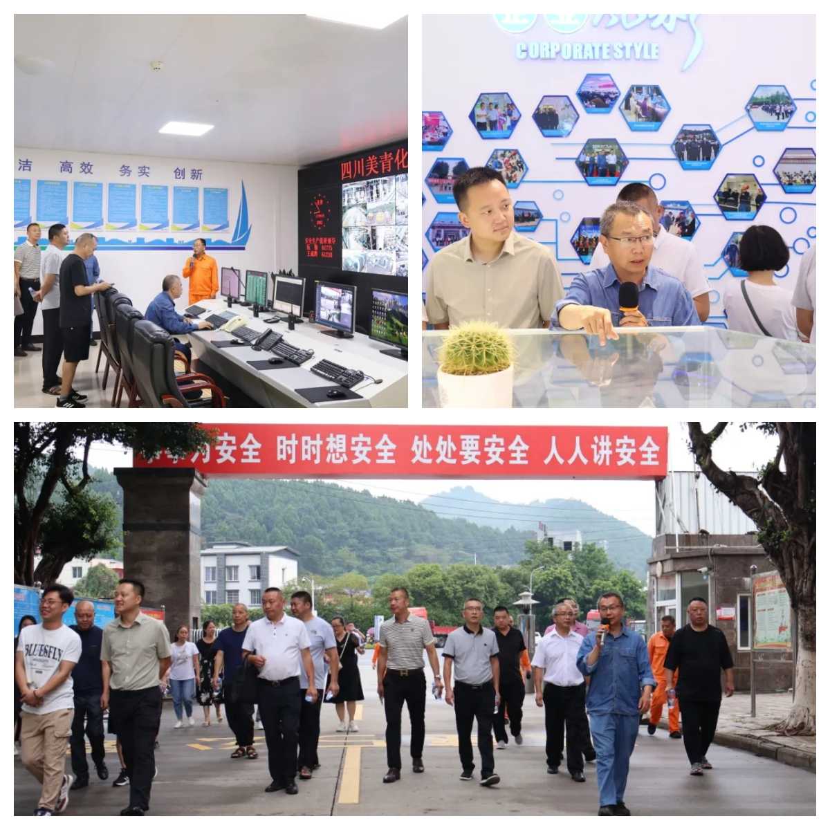 1764229590266294.jpg 1.jpg